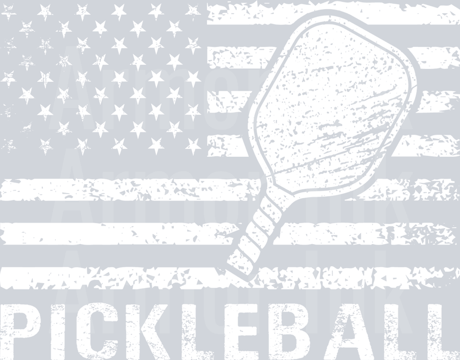 American Flag Pickleball DTF transfer