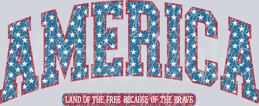 Land Of The Free Because Of The Brave