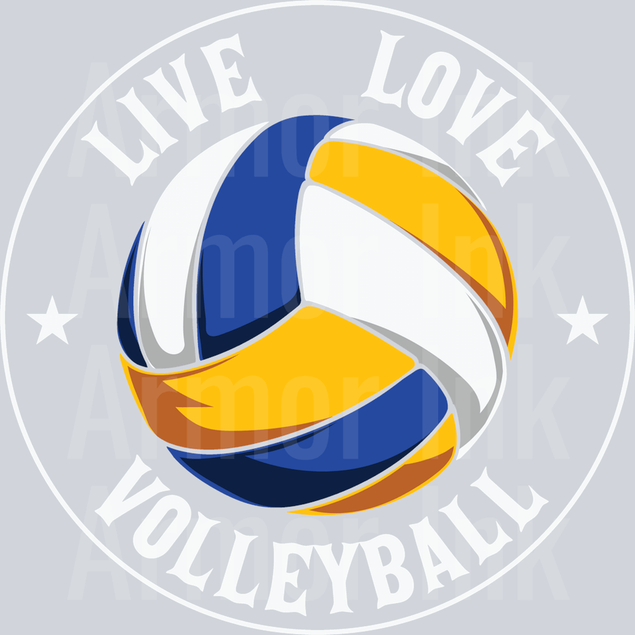 Live Love Volleyball DTF transfer