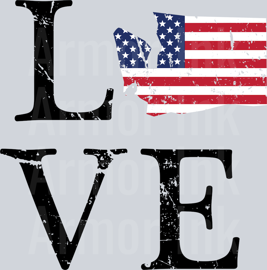 LOVE Washington distressed DTF transfer