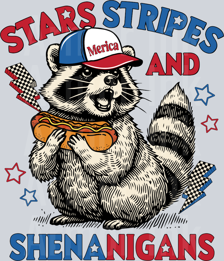 Stars Stripes And Shenanigans Racoon DTF transfer