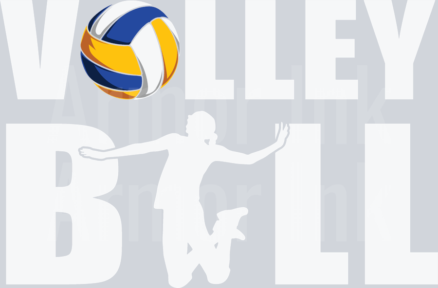 Volleyball DTF transfer