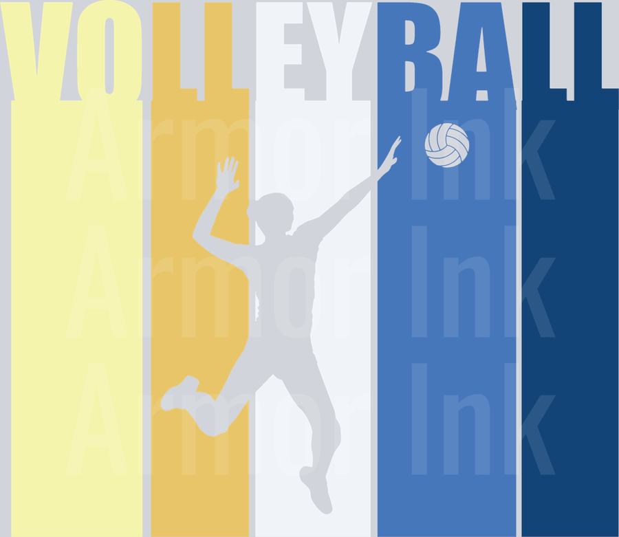 Volleyball DTF transfer