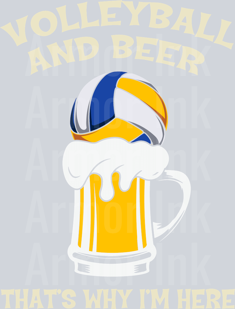 Volleyball And Beer That's Why I'm Here DTF transfer