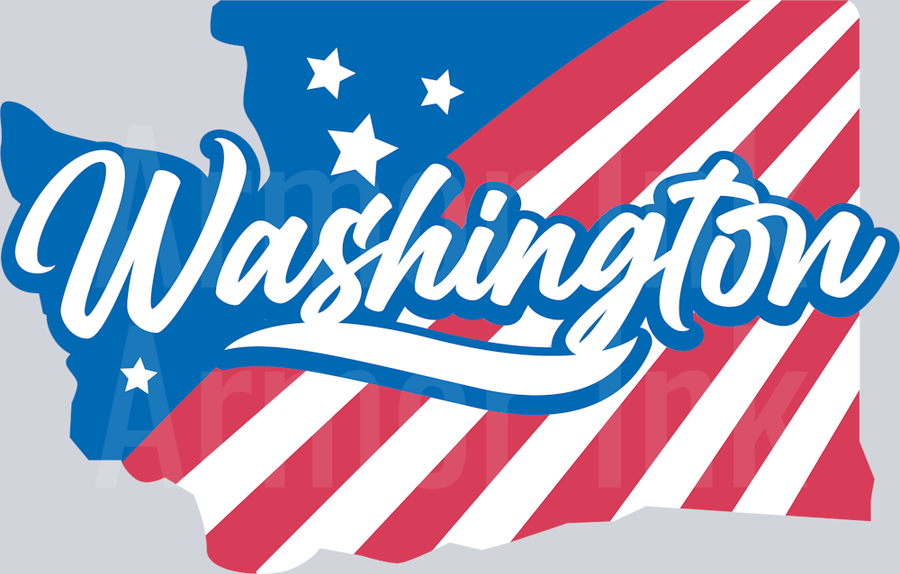 Washington American Flag DTF transfer