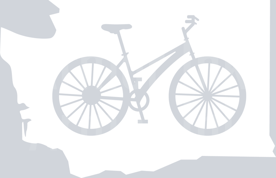 Washington Cycling DTF transfer