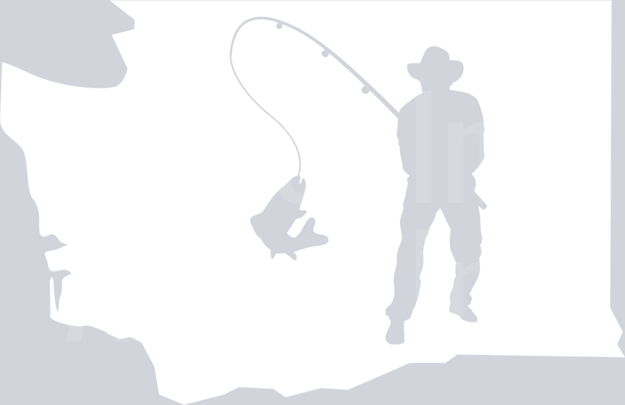 Washington Fishing DTF transfer