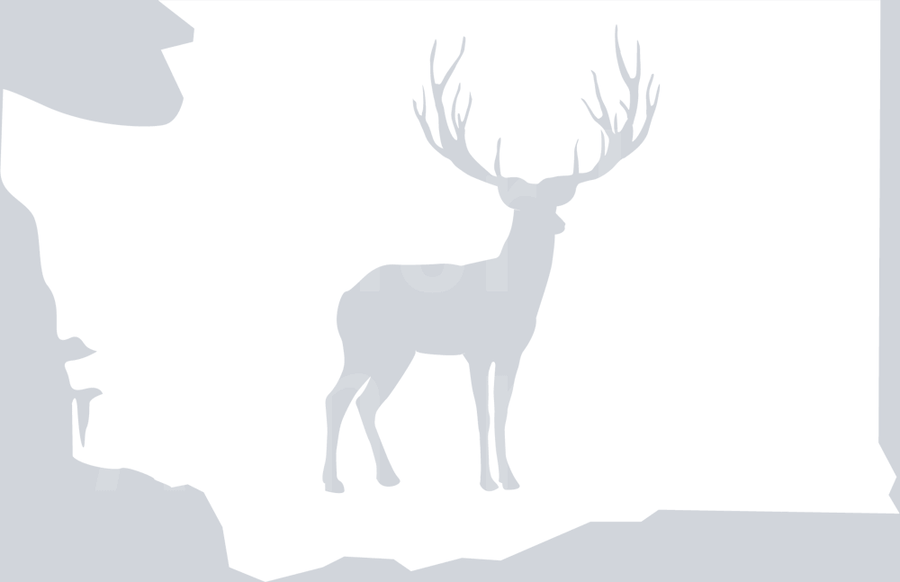 Washington Hunting Deer DTF transfer
