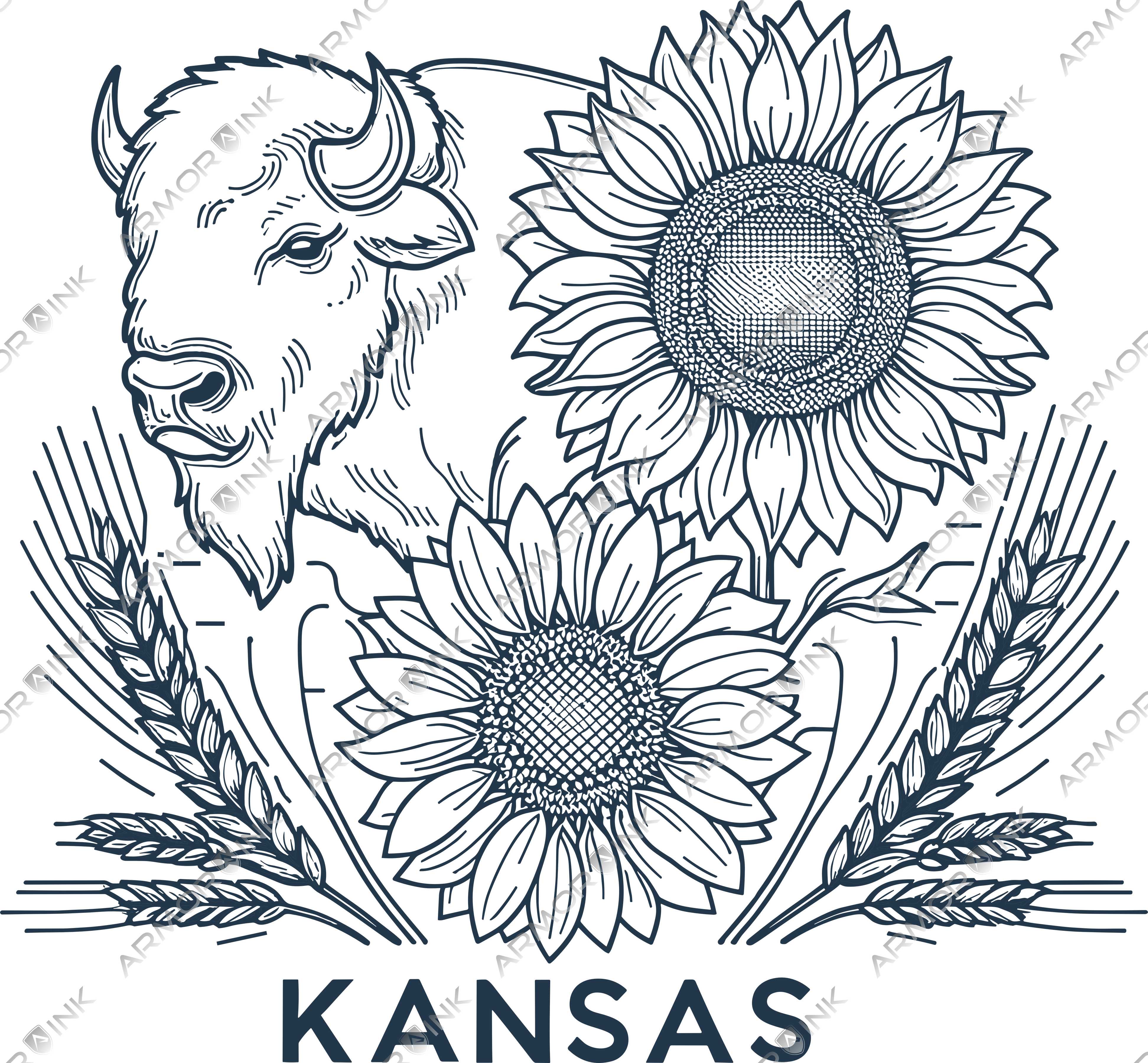 Kansas Buffalo Sunflower Wheat Outline Art DTF Transfer