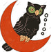 Owl Moon DTF Transfer