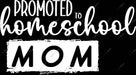 Promoted To Homeschool Mom DTF Transfer