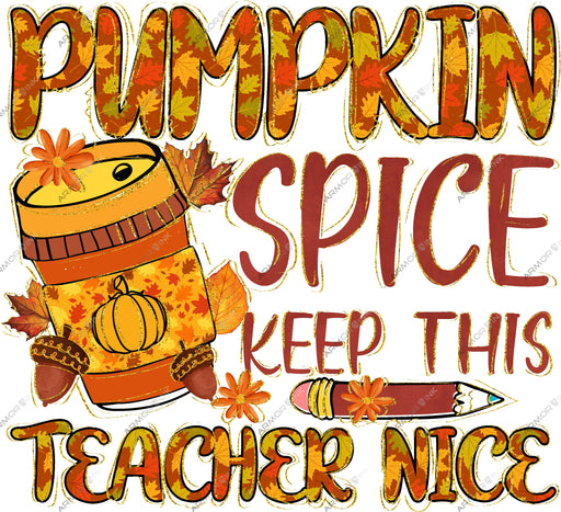 Pumpkin Spice Keep This Teacher Nice DTF Transfer