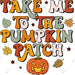 Take Me To The Pumkin Patch DTF Transfer