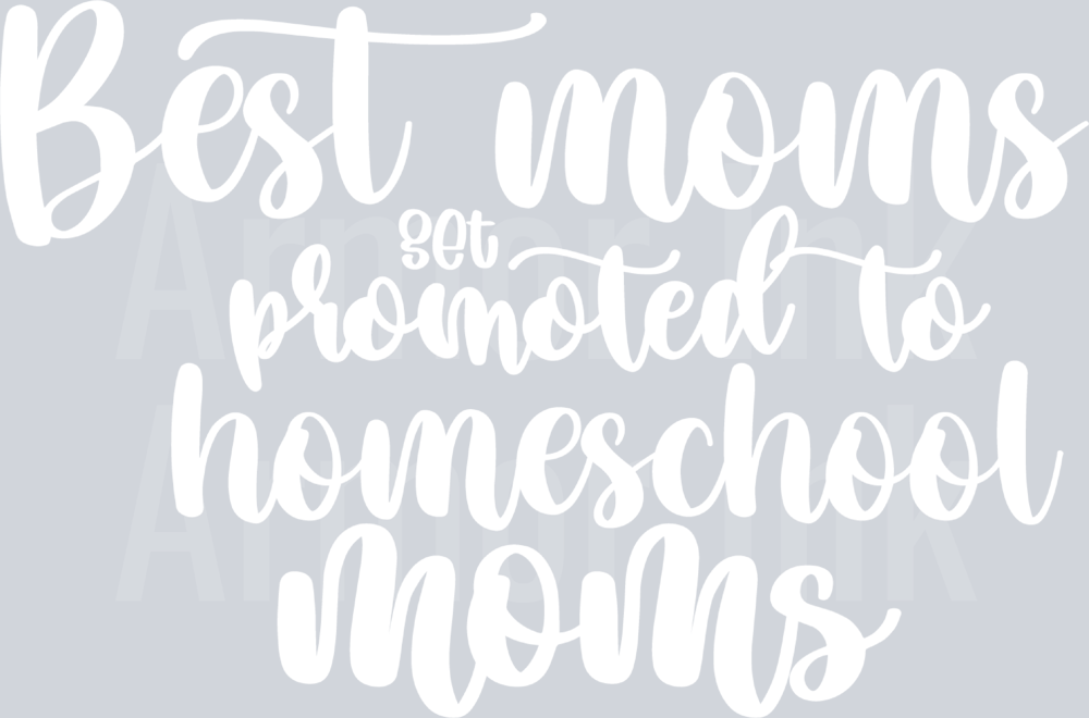 Best Moms Get Promoted To Homeschool