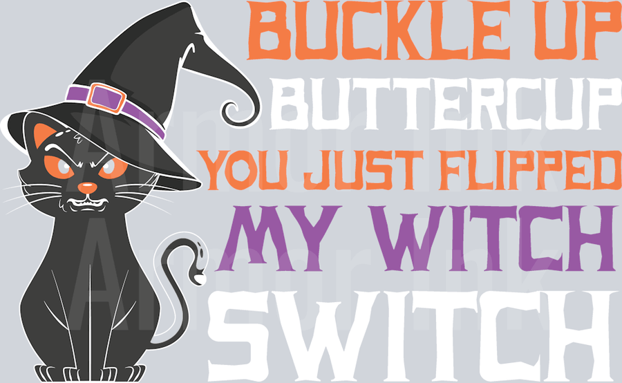 Buckle Up Butter Cup You Just Flipped My Witch Switch DTF transfer