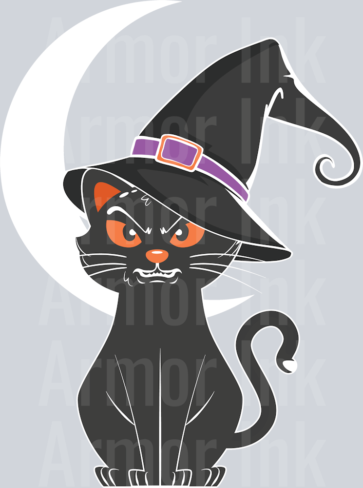 Cat Witch DTF transfer