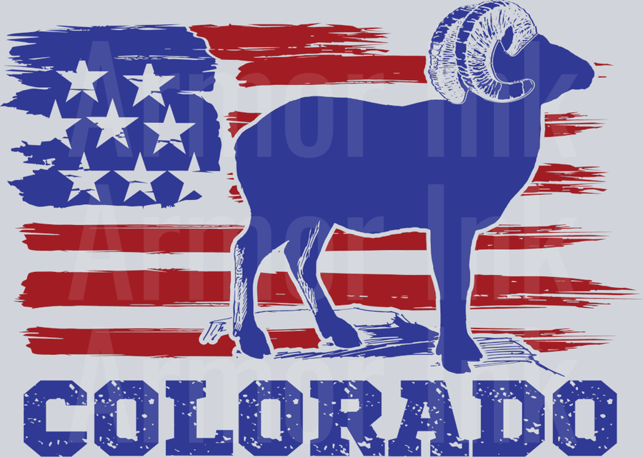 Colorado Flag DTF transfer
