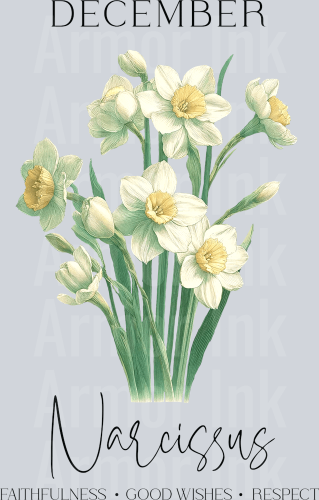 December Narcissus DTF transfer