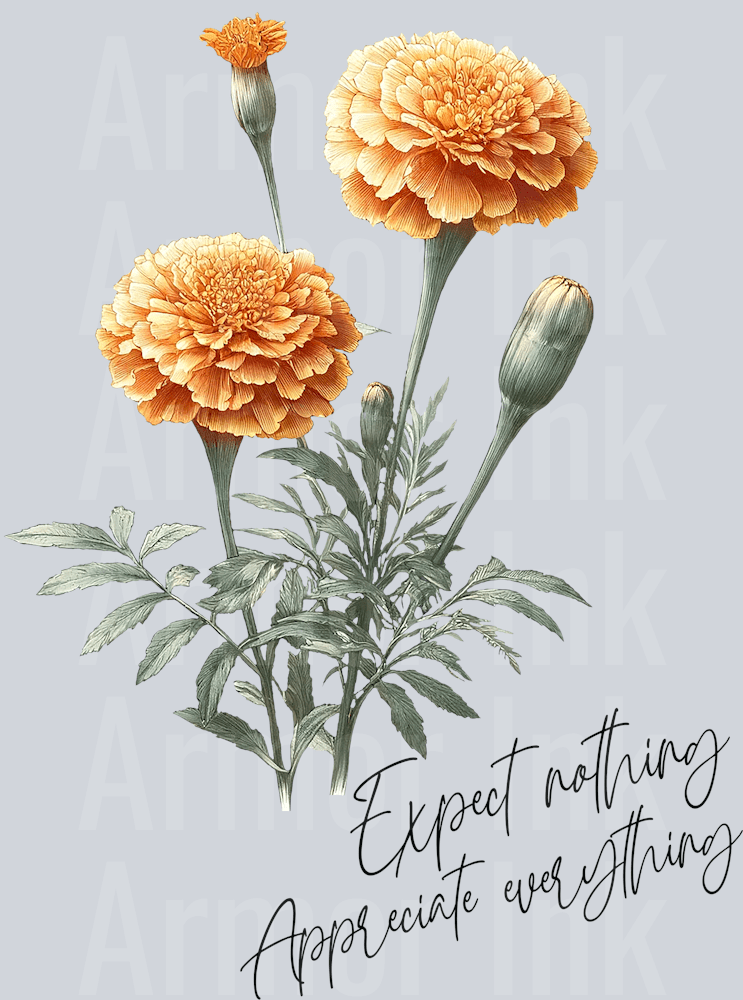 Expect Nothing Appreciate Everything