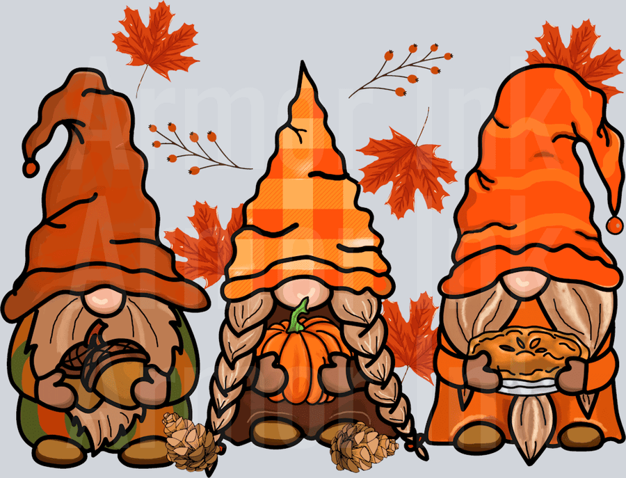 Gnomes DTF transfer