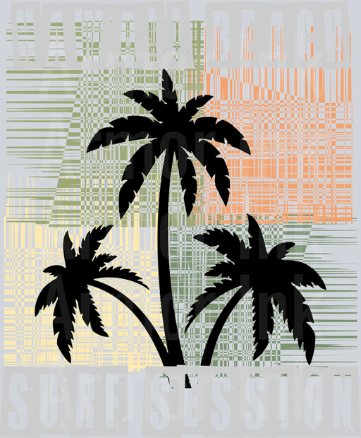 Hawaii Beach Surf Session