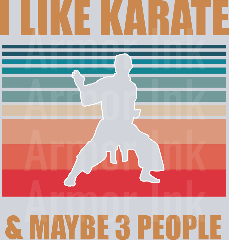 I Like Karate And Maybe 3 People DTF transfer