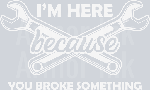 I'm Here Because I Broke Something