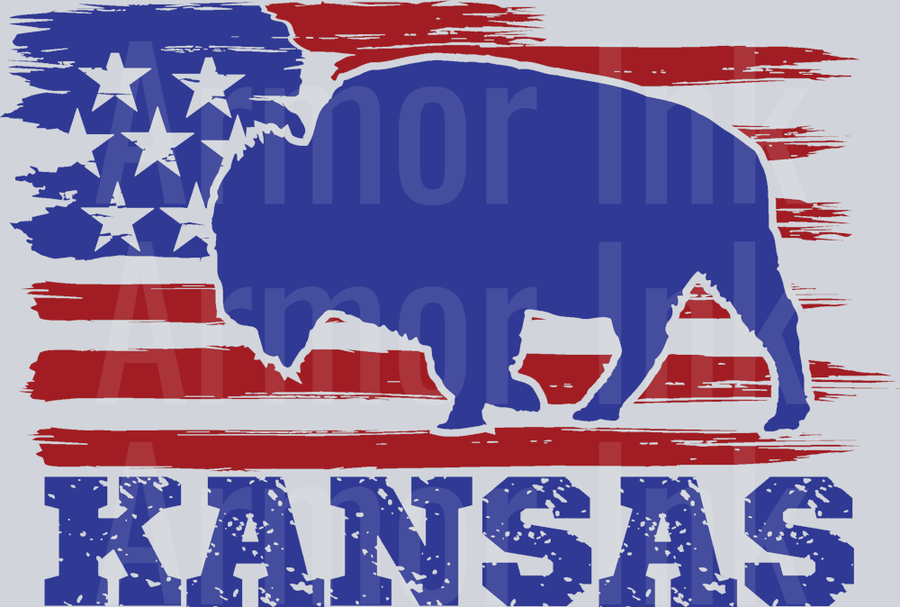 Kansas Bison DTF transfer