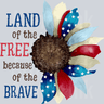Land Of The Free