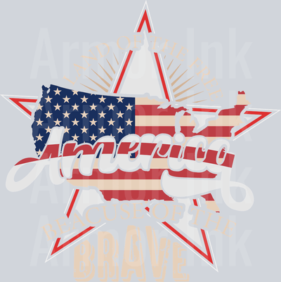 Land Of The Free DTF transfer