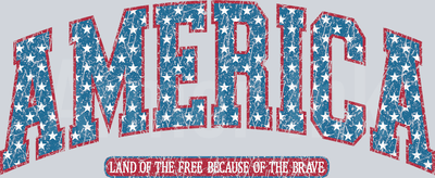 Land Of The Free Because Of The Brave DTF transfer