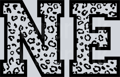 NE DTF transfer