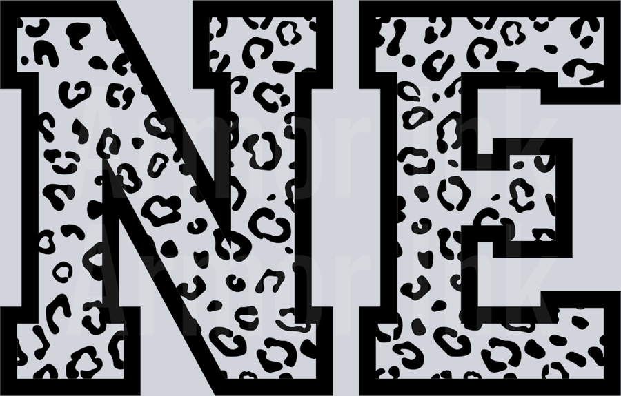 NE DTF transfer
