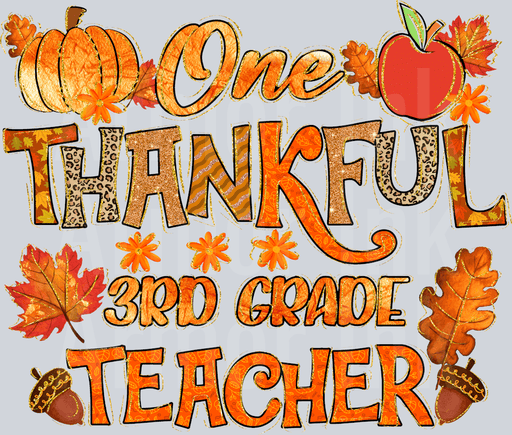 One Thankful 3rd Grade Teacher