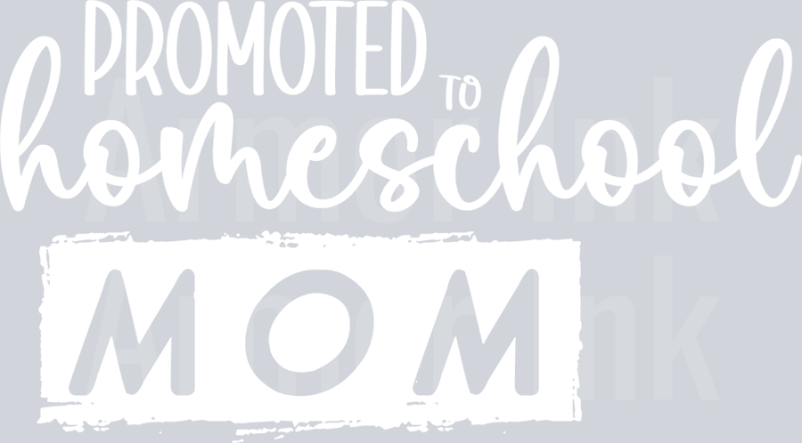 Promoted To Homeschool Mom DTF transfer