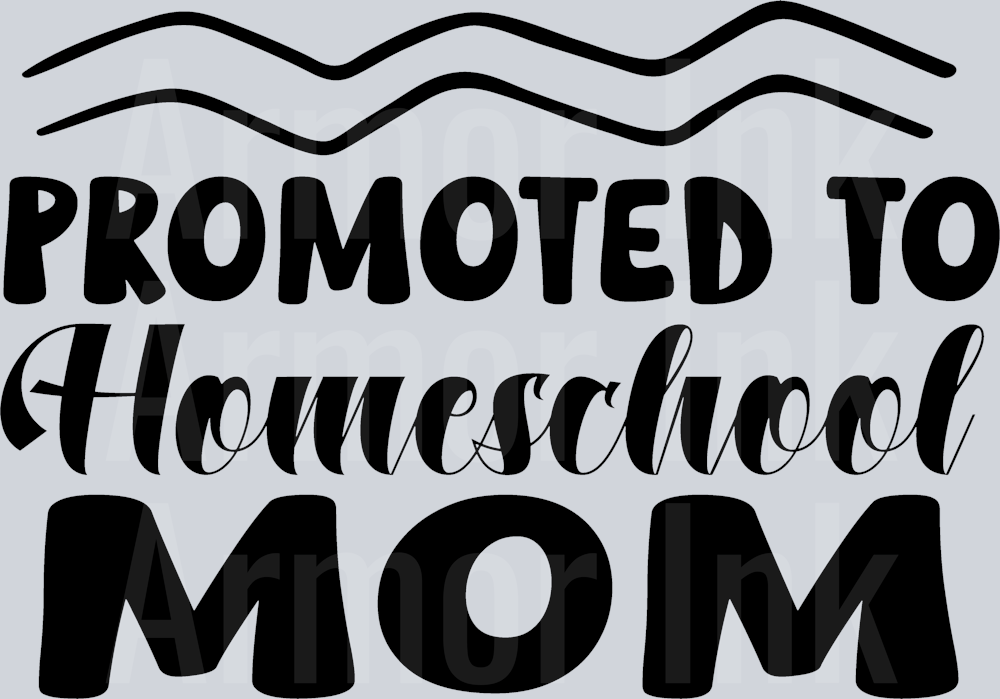 Promoted to Homeschool Mom