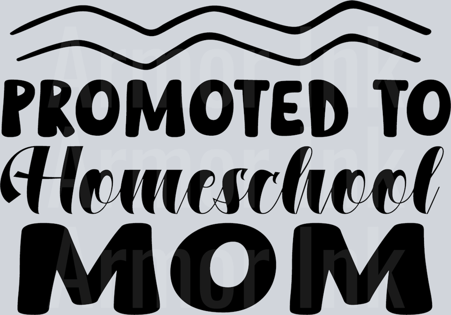 Promoted to Homeschool Mom DTF transfer