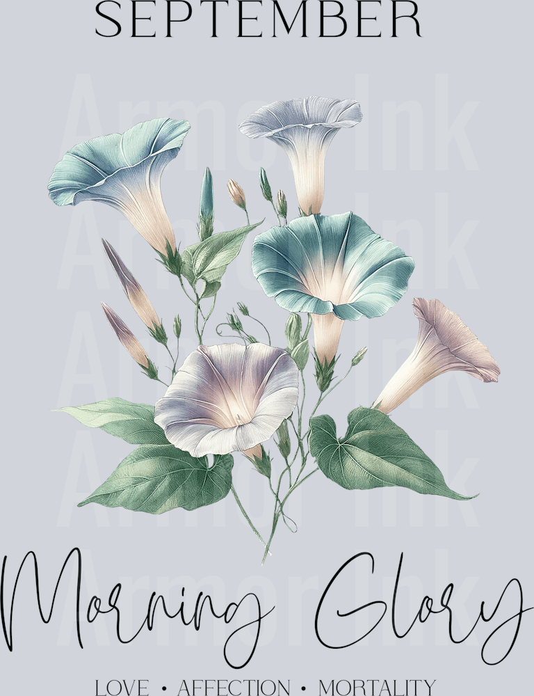 September Morning Glory