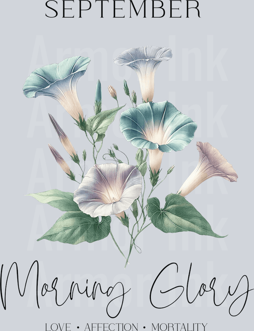 September Morning Glory