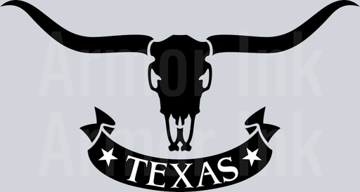 Texas Design with Longhorn Head Skull