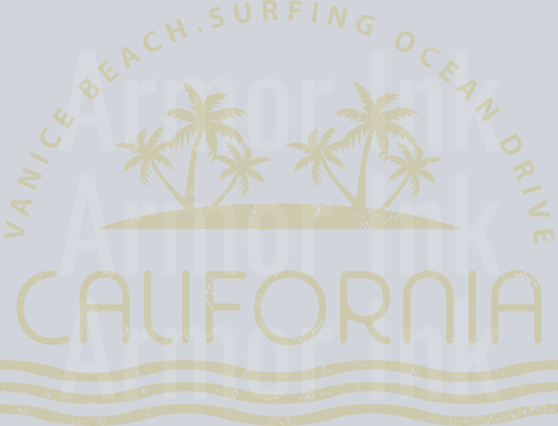 Venice Beach Surfing Ocean Drive California