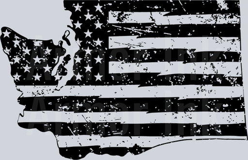 Washington American Flag Black