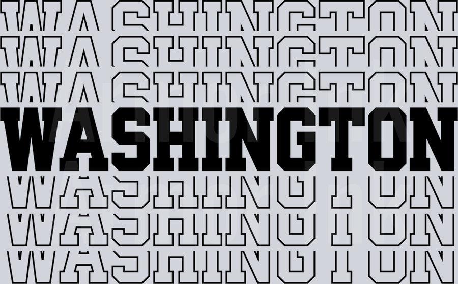 Washington Echo DTF transfer