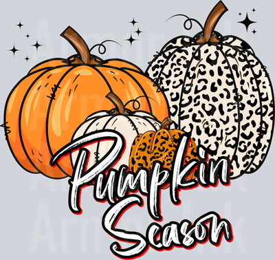 Pumpkin Season DTF transfer