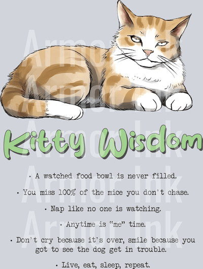 Kitty Wisdom DTF transfer
