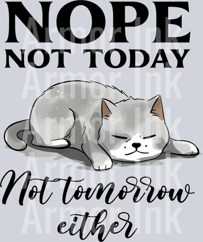 Nope Not Today Not Tomorrow Either DTF transfer