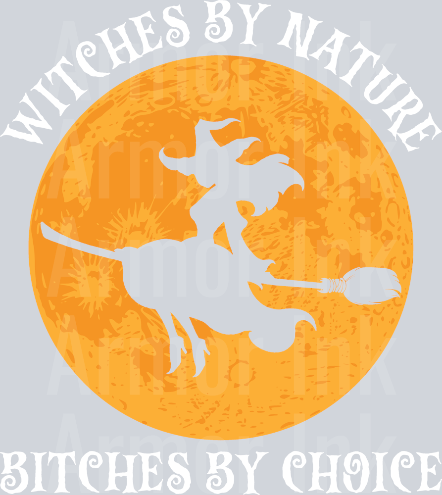 Witches By Nature Bitches By Choice DTF transfer